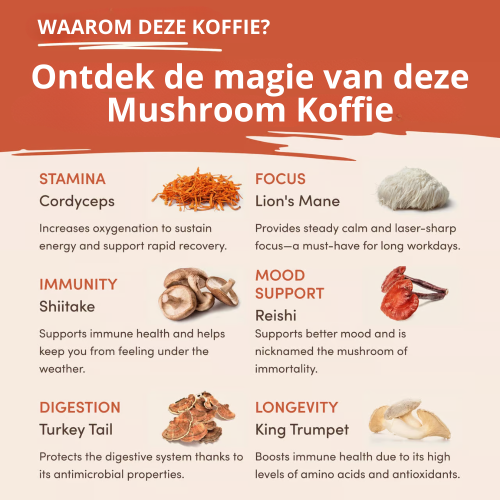 Mushroom Koffie